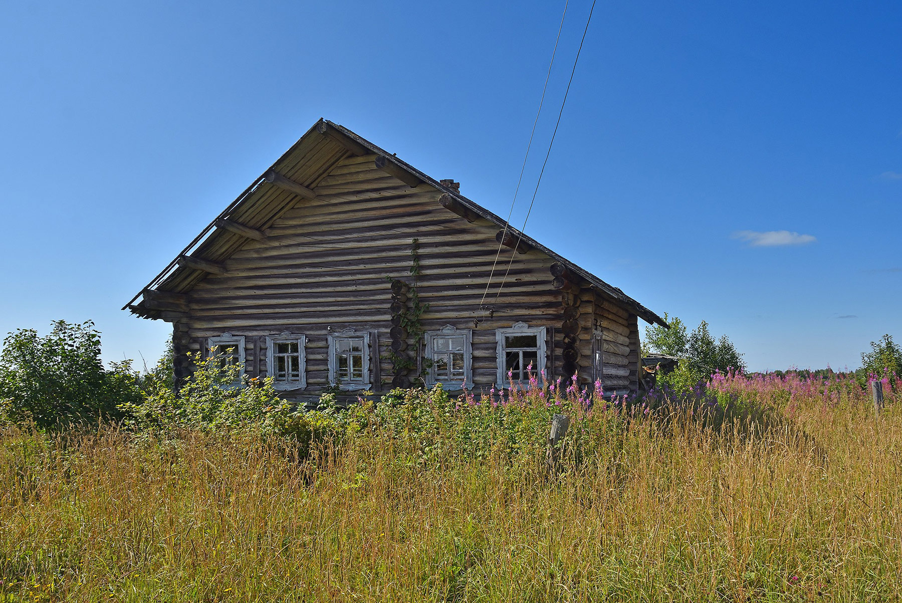 Деревня Фоминская (Fominskaya village)
